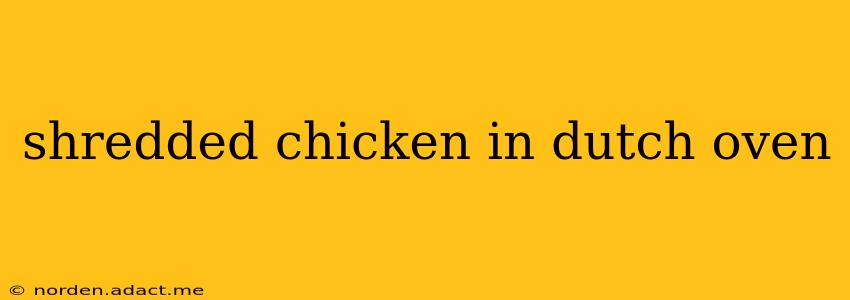 shredded chicken in dutch oven