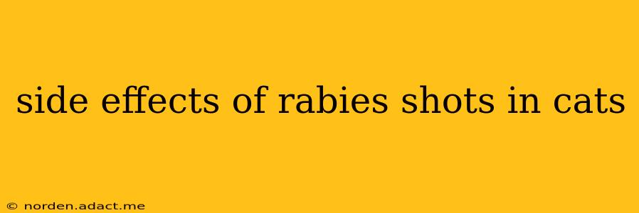 side effects of rabies shots in cats