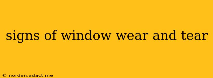 signs of window wear and tear
