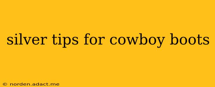 silver tips for cowboy boots