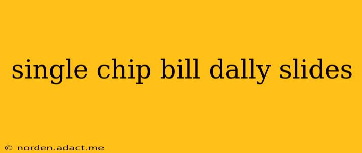 single chip bill dally slides