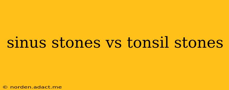 sinus stones vs tonsil stones