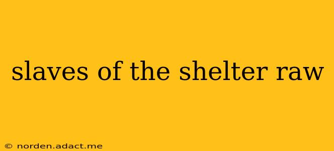 slaves of the shelter raw slaves of the shelter raw