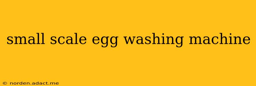 small scale egg washing machine