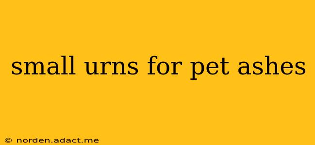 small urns for pet ashes