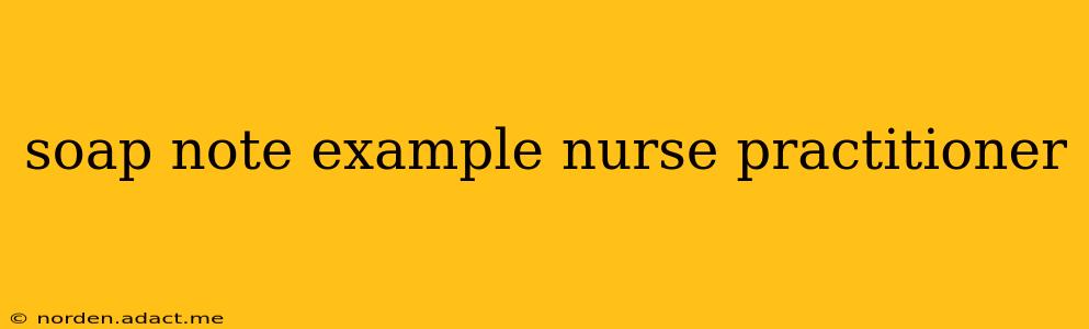 soap note example nurse practitioner