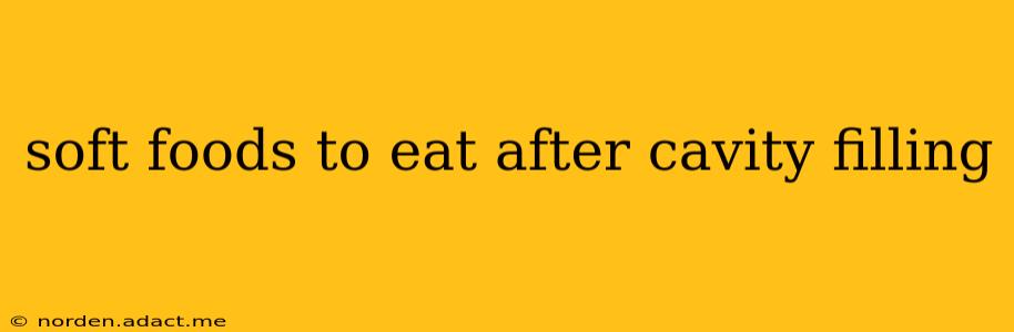 soft foods to eat after cavity filling