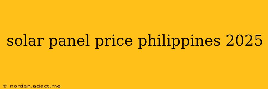 solar panel price philippines 2025