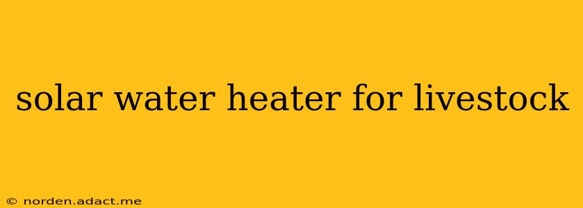 solar water heater for livestock
