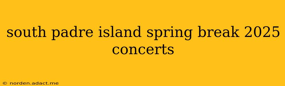 south padre island spring break 2025 concerts