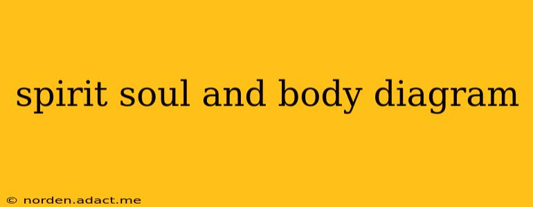 spirit soul and body diagram
