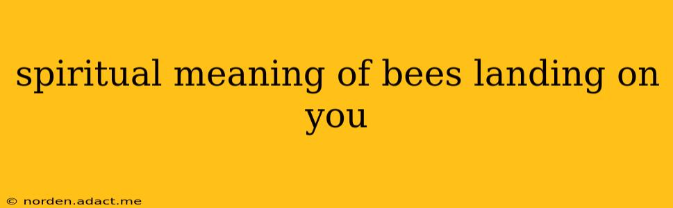 spiritual meaning of bees landing on you