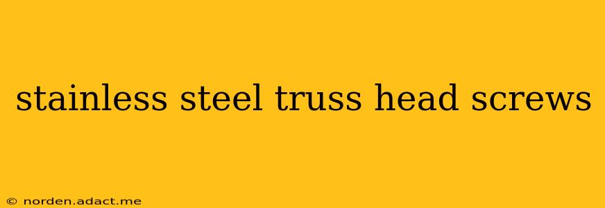 stainless steel truss head screws