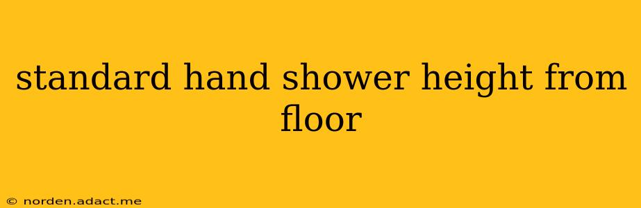 standard hand shower height from floor