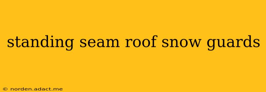 standing seam roof snow guards