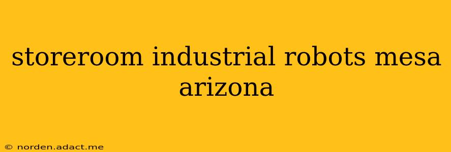 storeroom industrial robots mesa arizona