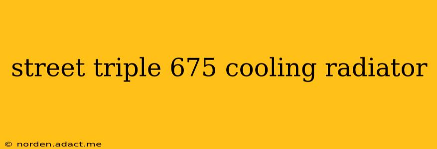 street triple 675 cooling radiator