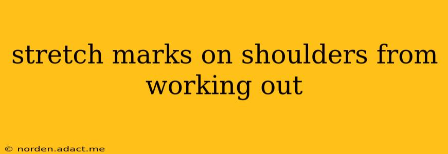 stretch marks on shoulders from working out