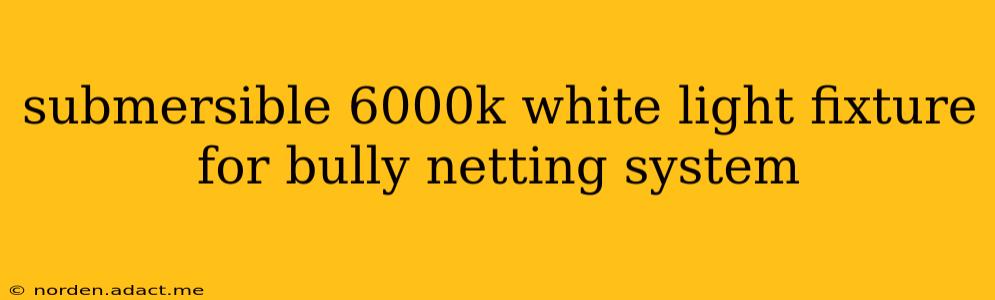 submersible 6000k white light fixture for bully netting system