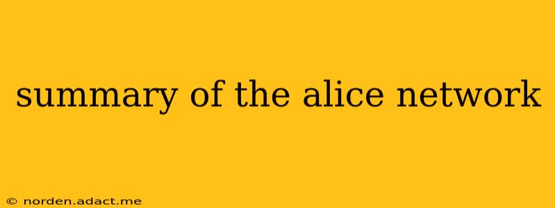 summary of the alice network