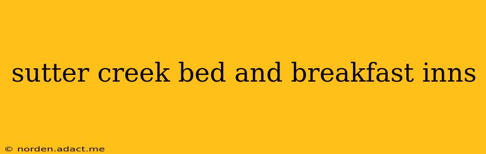 sutter creek bed and breakfast inns