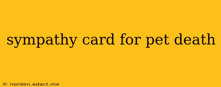sympathy card for pet death