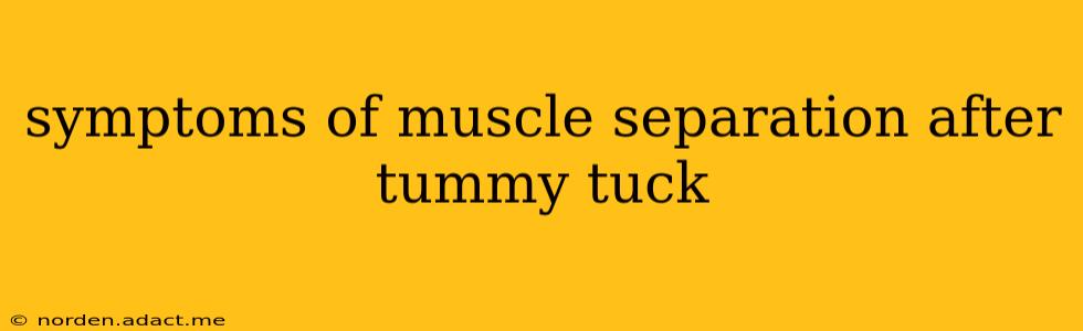 symptoms of muscle separation after tummy tuck