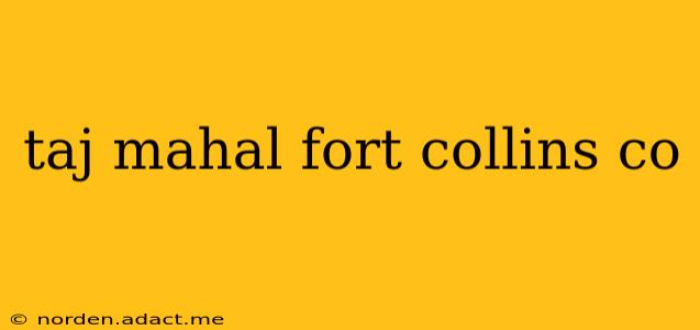 taj mahal fort collins co