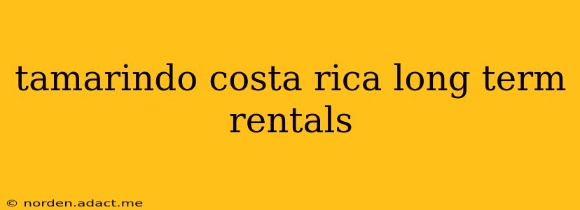 tamarindo costa rica long term rentals