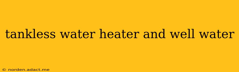 tankless water heater and well water