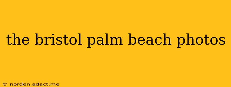 the bristol palm beach photos
