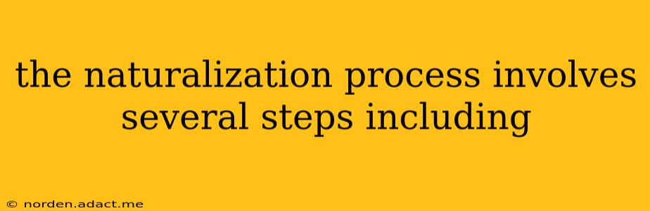 the naturalization process involves several steps including