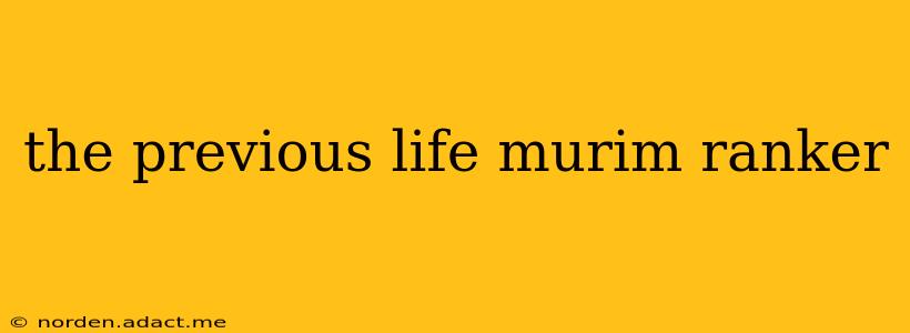 the previous life murim ranker