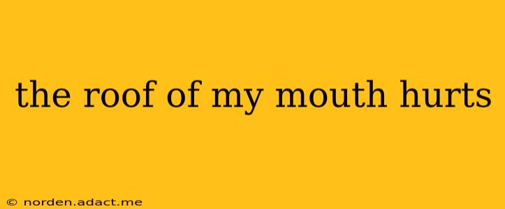 the roof of my mouth hurts