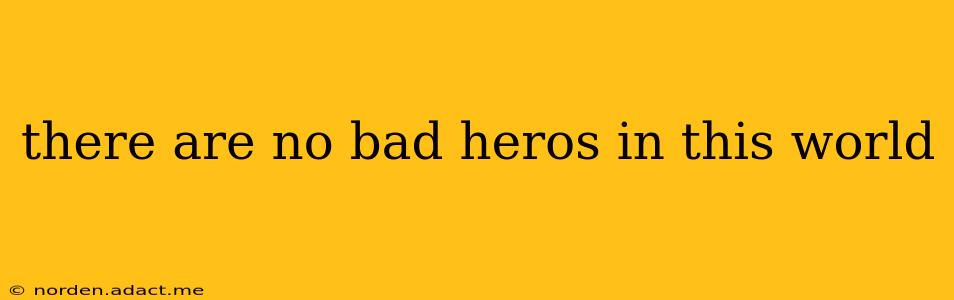 there are no bad heros in this world
