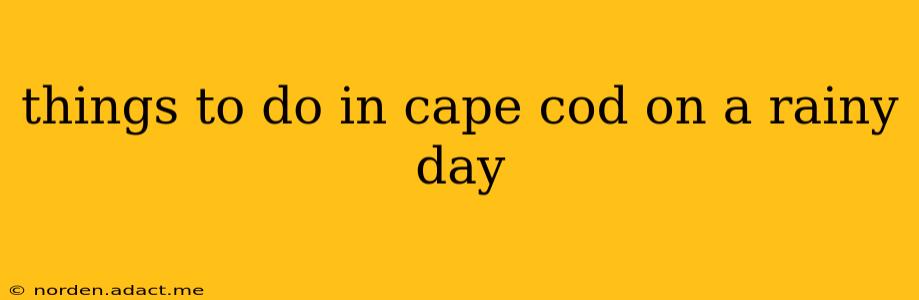 things to do in cape cod on a rainy day