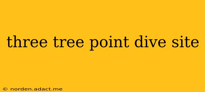 three tree point dive site
