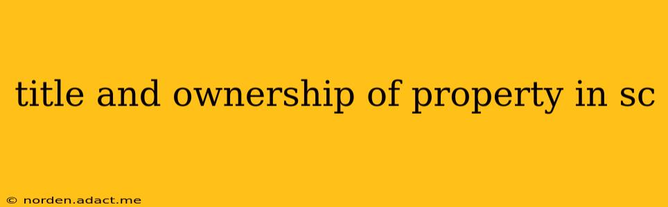 title and ownership of property in sc