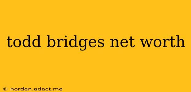 todd bridges net worth