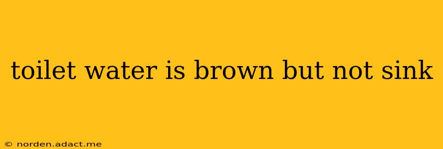 toilet water is brown but not sink
