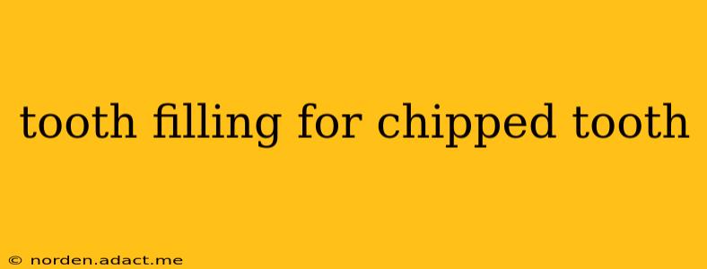 tooth filling for chipped tooth