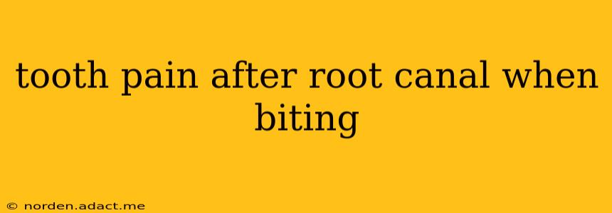 tooth pain after root canal when biting