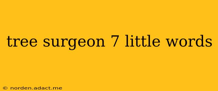 tree surgeon 7 little words