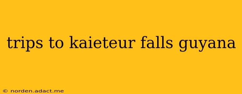 trips to kaieteur falls guyana