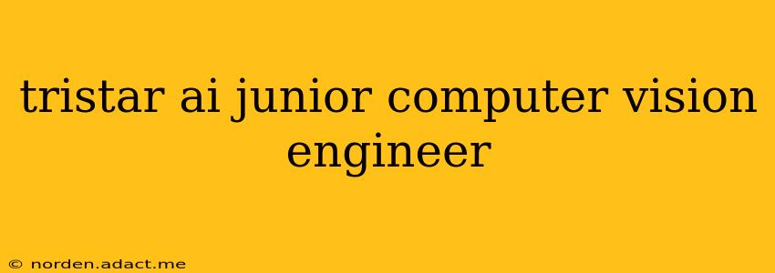 tristar ai junior computer vision engineer