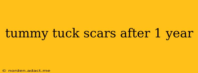 tummy tuck scars after 1 year