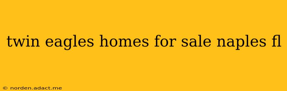 twin eagles homes for sale naples fl