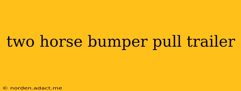 two horse bumper pull trailer