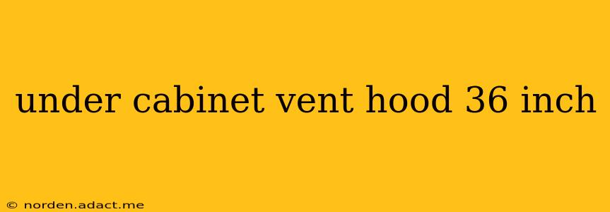 under cabinet vent hood 36 inch