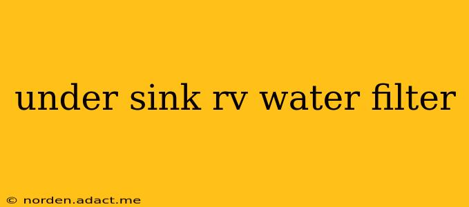 under sink rv water filter